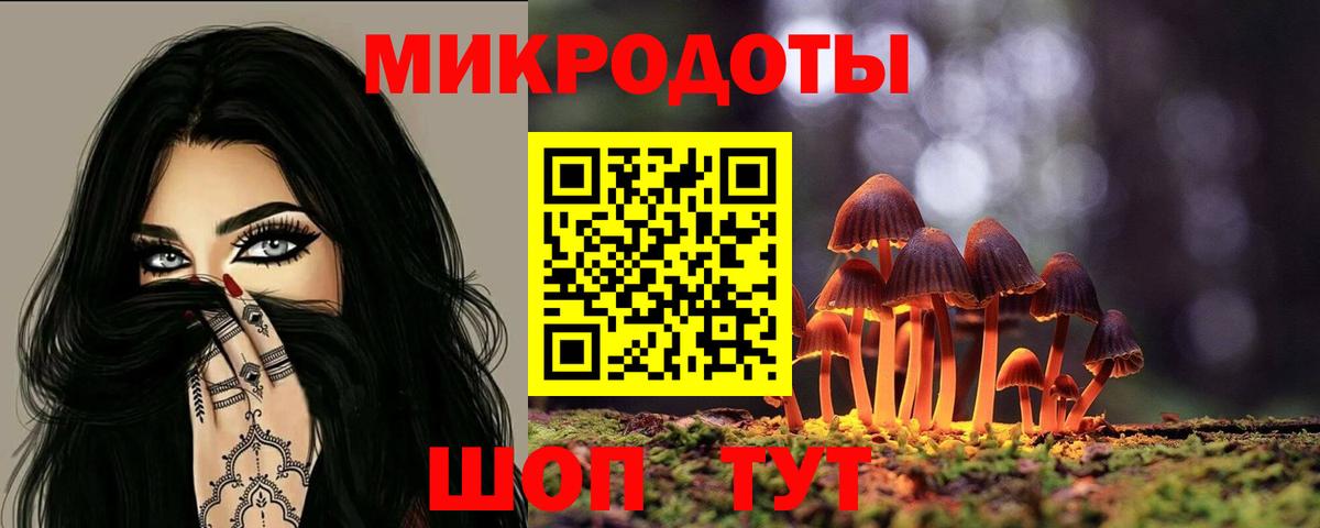 Галлюциногенные грибы Psilocybine cubensis Феодосия