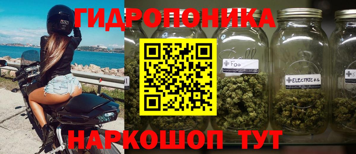 Бошки Шишки тримм  Шишки марихуана планчик  Феодосия  Вход с VPN  МАРИХУАНА Amnesia  МАРИХУАНА индика 